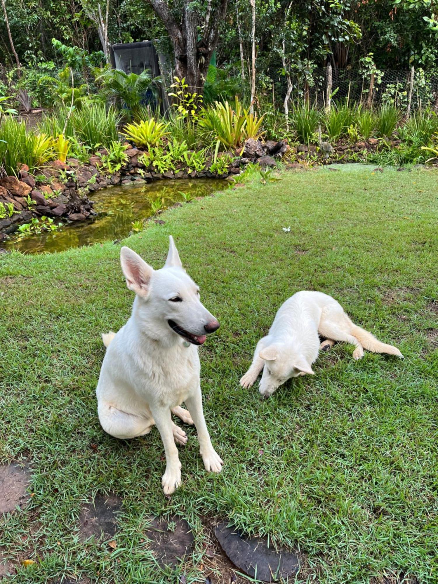 Quinta Do Sossego Hotel มาตา เด เซาโจเอา ภายนอก รูปภาพ
